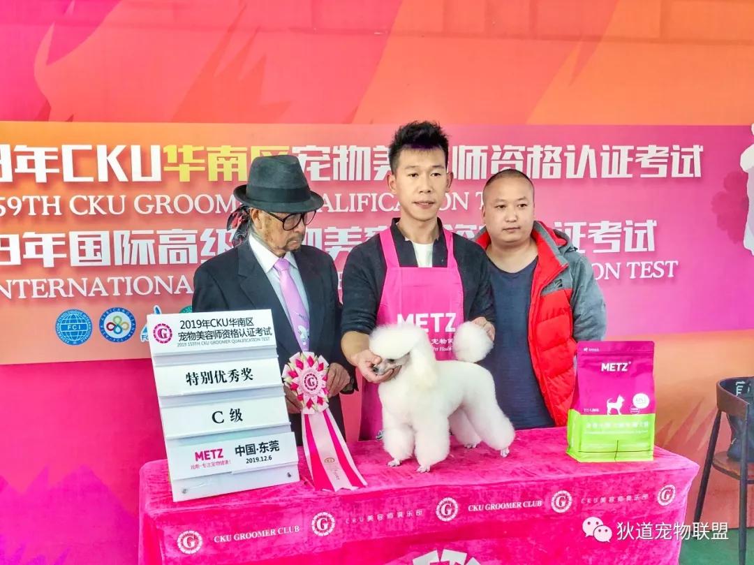 深圳宠物美容培训学校排名,壹择宠物美容培训学校