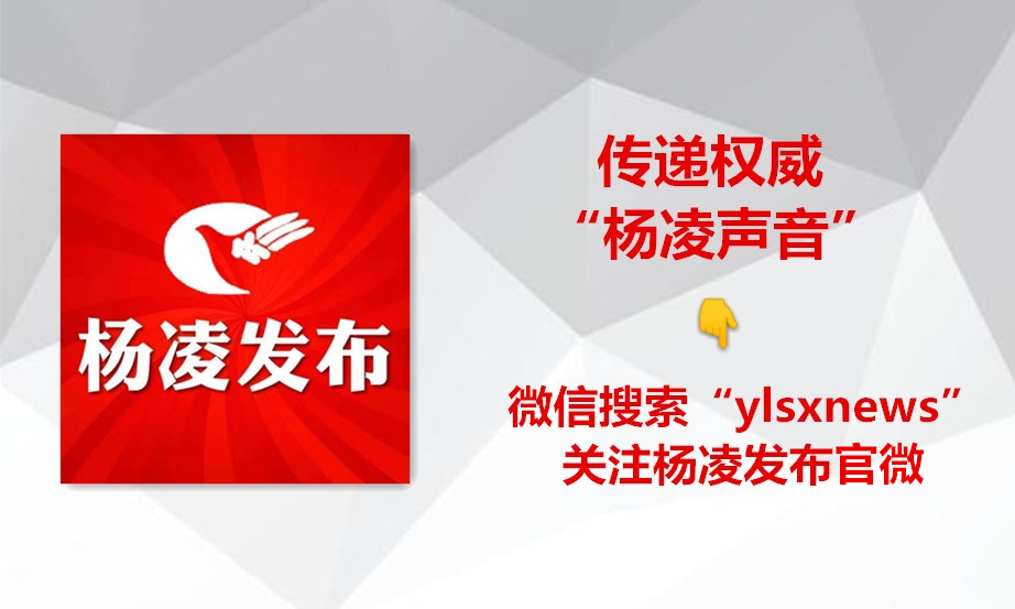 全国青少年校园足球联赛中专组,我要上全运篮球
