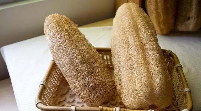 保护皮肤最好的蔬菜,想要皮肤变好不妨试试这几种蔬菜