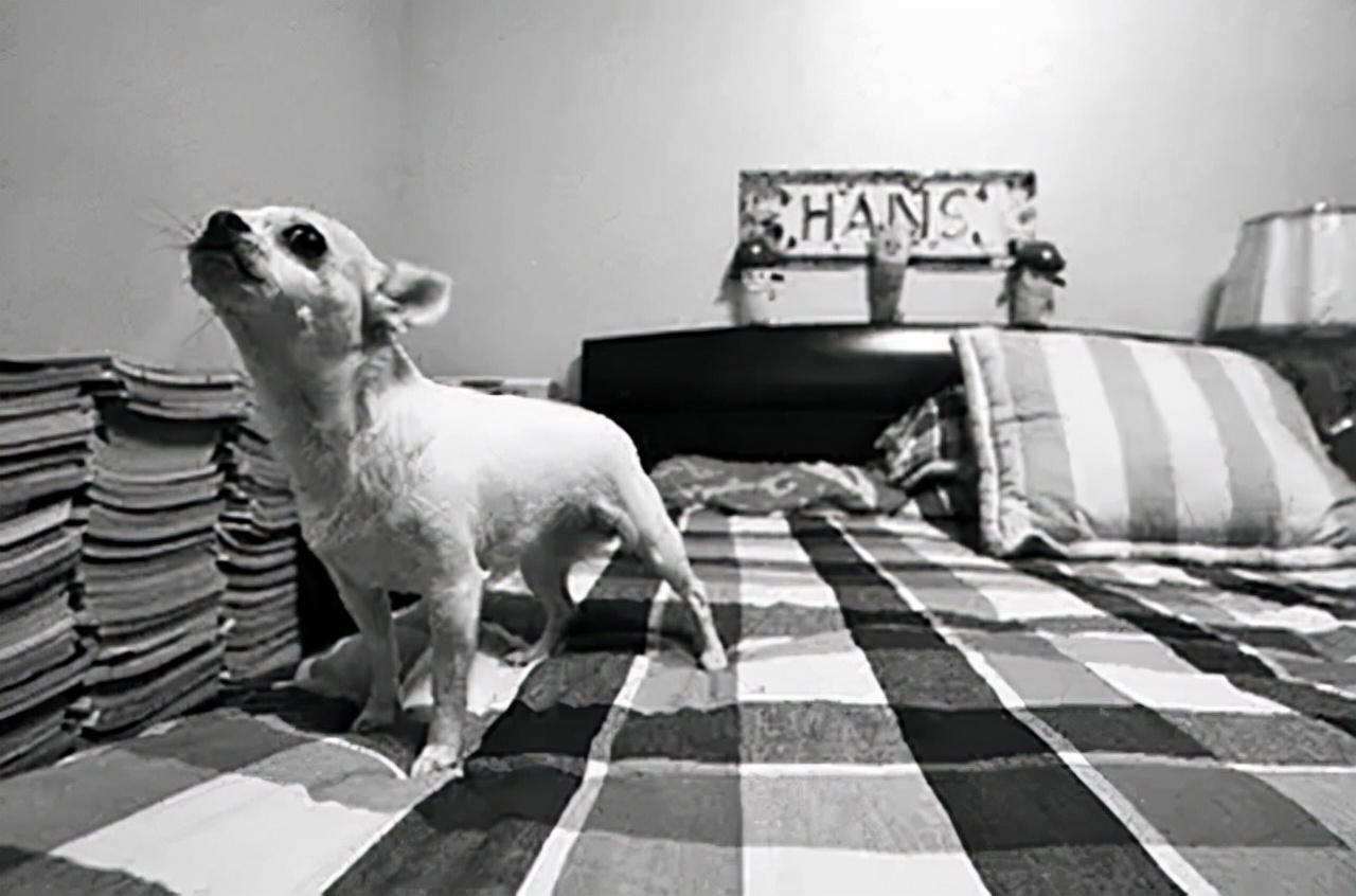 中国小伙报答瑞士房东，接他到中国赡养，老人去世：想长眠在中国