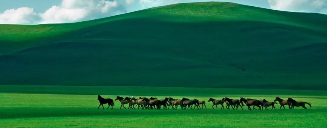 敖包相会的地方背面完整版,敖包相会的地方在通辽