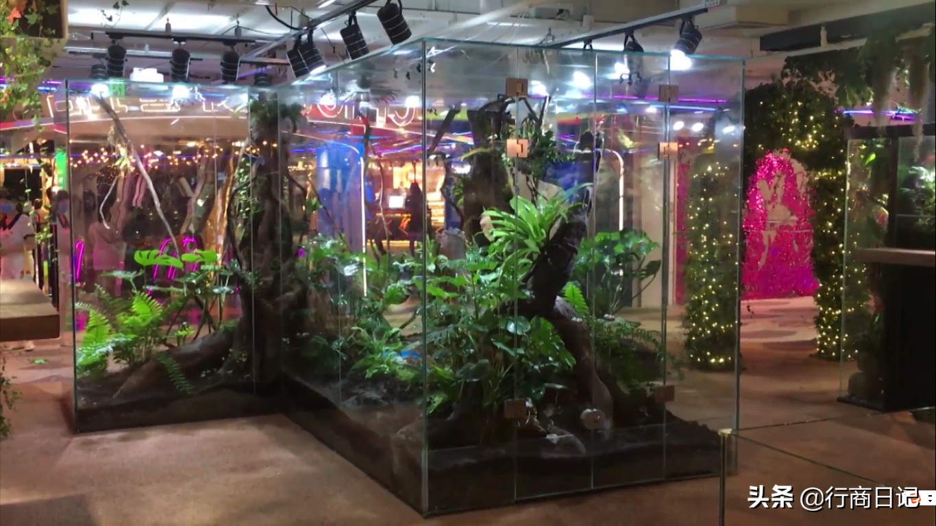 转一转：西单华威商场的潮铺街和约饭街，青春的味道