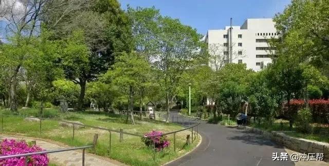 日本为什么不造超跑,日本对假货有什么处罚