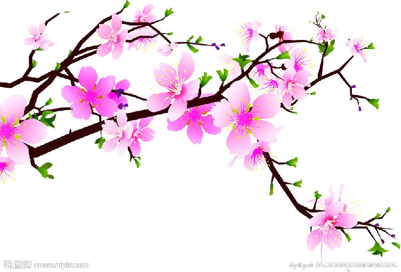 梅花香自苦寒来人生感悟,梅花香自苦寒来视频