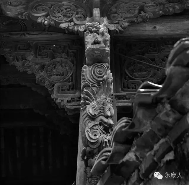 金华旅游攻略古镇推荐一下,诗意江南百花深处觅桃源