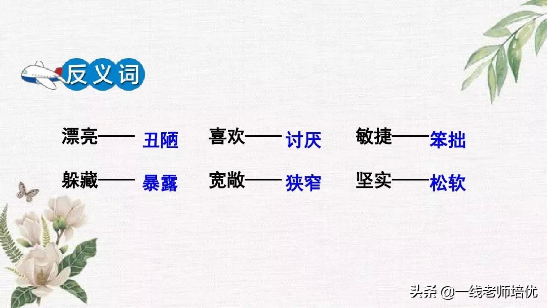 语文五年级上册第17课松鼠资料,部编版五年级上册第17课松鼠课件