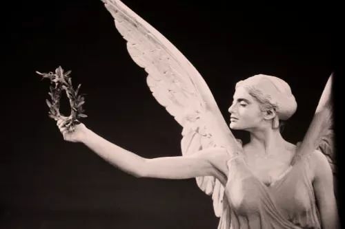 橄榄油美食,橄榄油臻颜精粹