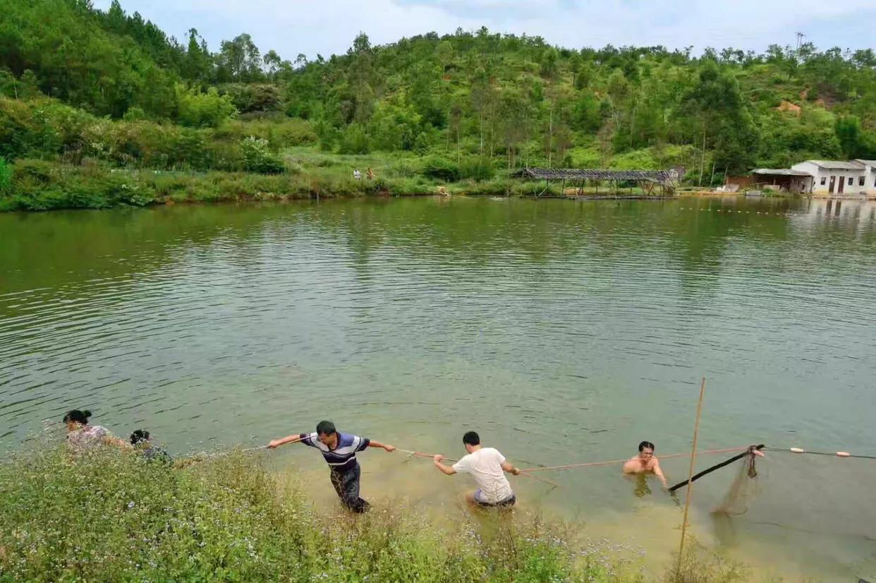 开心部落视频,开心部落平凉