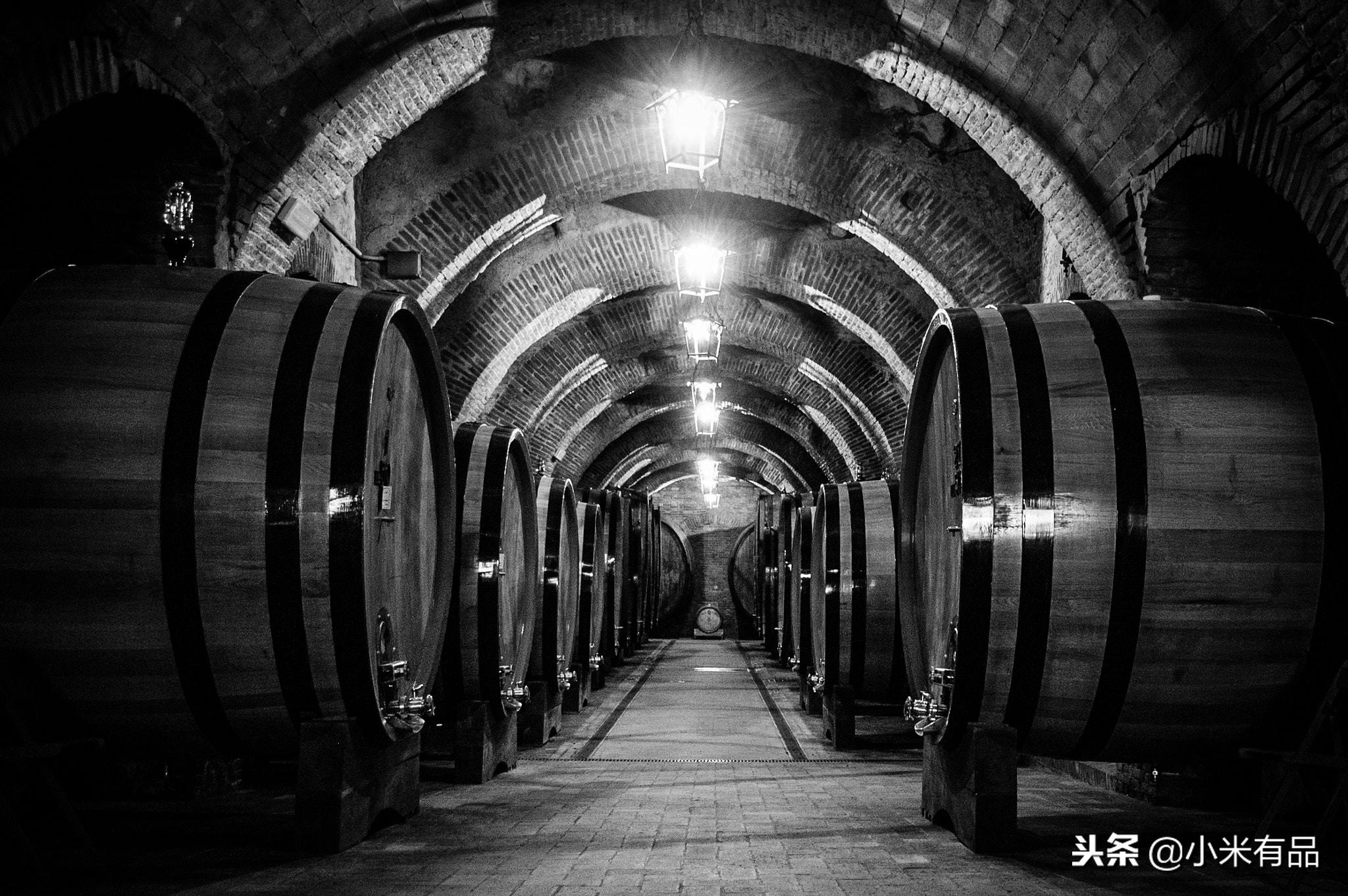 好喝的红酒柜推荐,入门红酒推荐性价比高