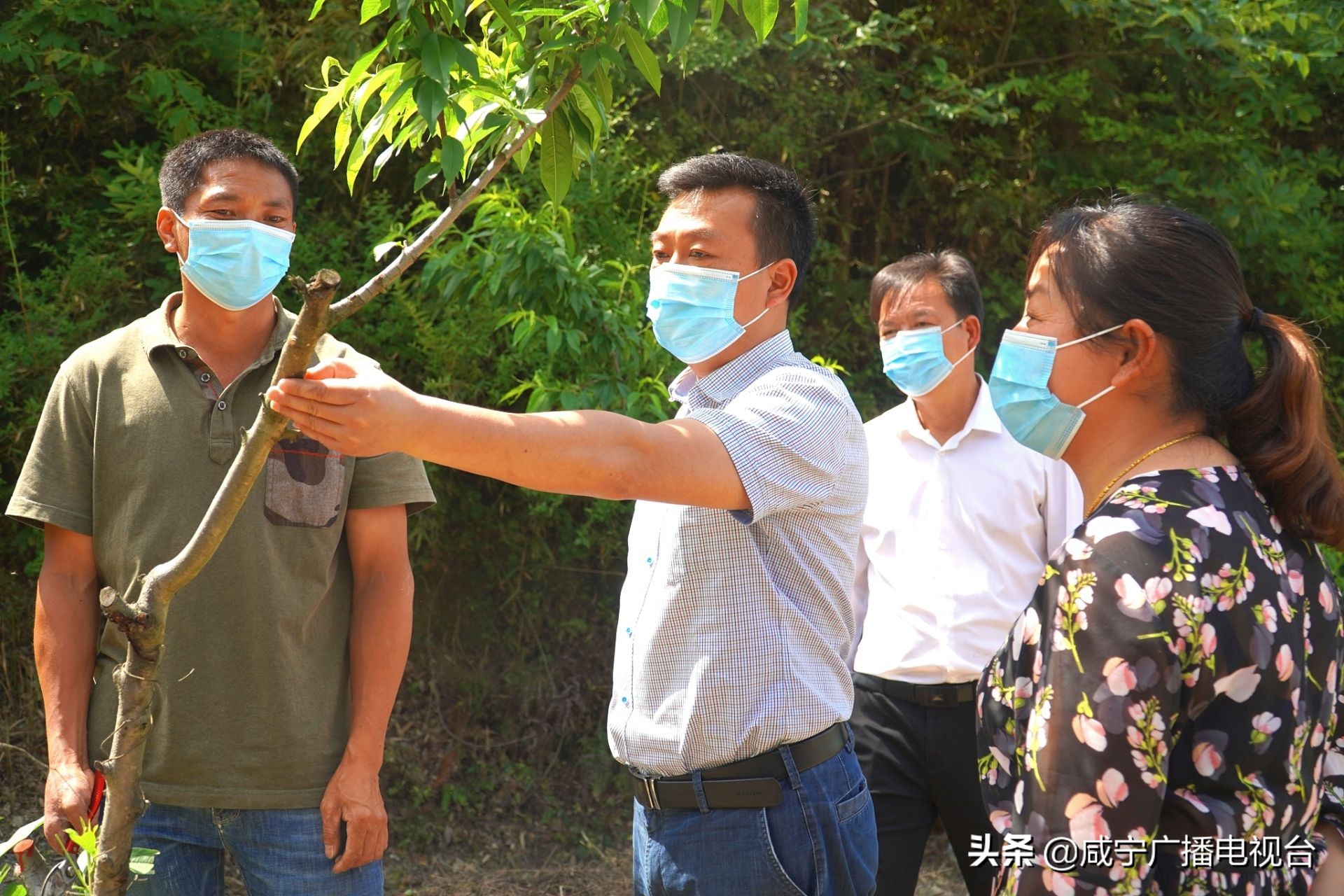 通城美丽乡村人间仙境,通城乡村振兴村景