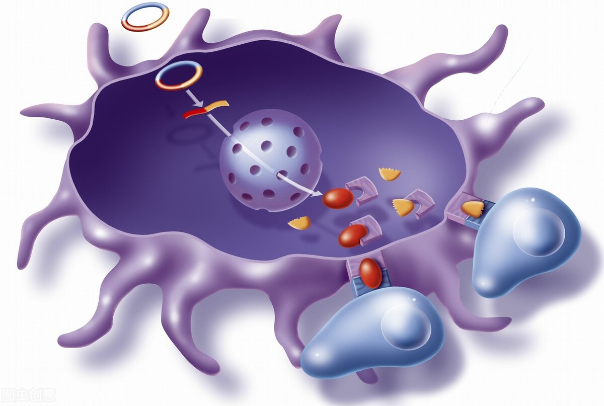 不小心感染艾滋病怎么办,不幸感染了艾滋病该怎么办