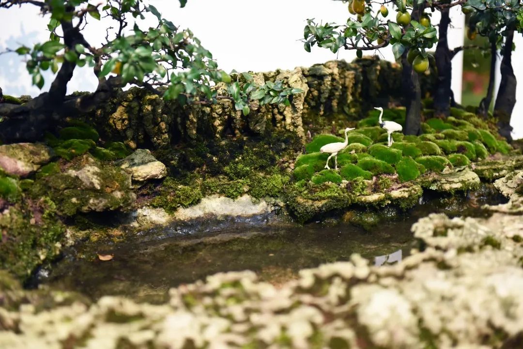 国庆大赏2020,国庆出行大赏