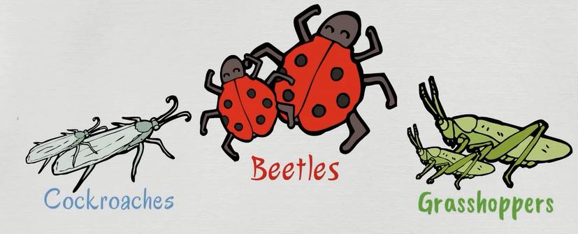 动物英语名称视频大全,兔小贝英语宝典动物名称