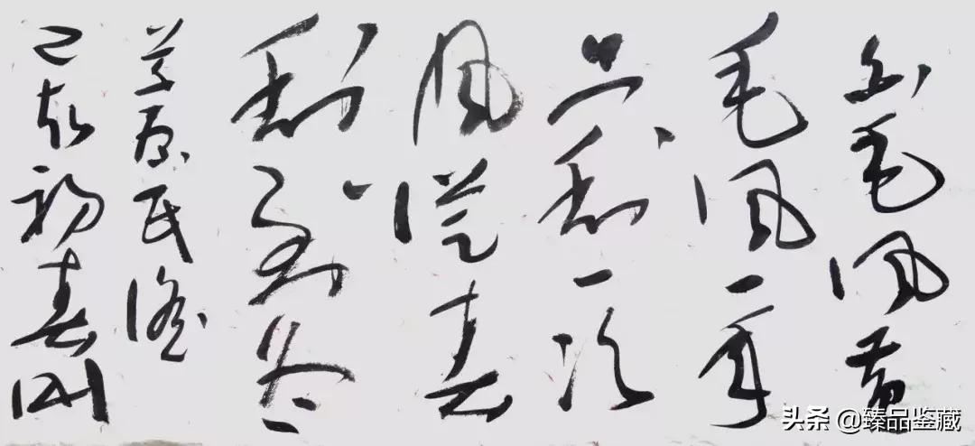 画家杨刚抖音,杨刚职业画家