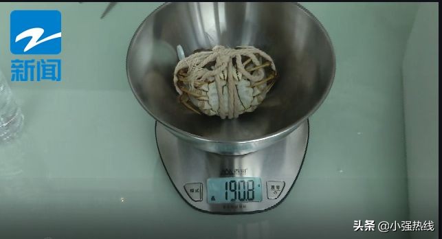 天猫某旗舰店上买了32盒大闸蟹，公蟹、母蟹每只都“大瘦身”！店家：可能双11发货量太大发错了