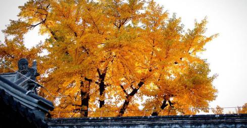 来北京必去的地方长城故宫,北京还有什么好玩的地方吗