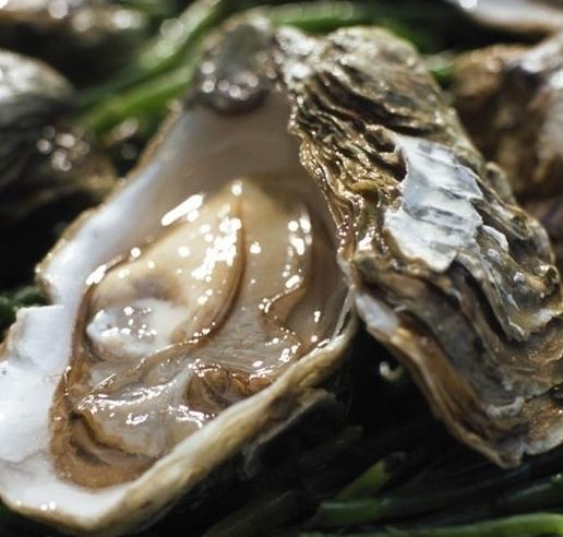 澳洲禁令7号之后会解除吗,澳洲七月签证最新政策