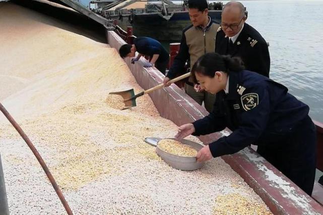 16年前，西方集体做空中国粮食，如果没有袁隆平，我们早就输了