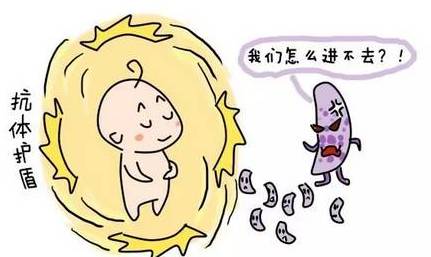 前奶稀后奶营养价值,前奶浓稠还是后奶浓稠