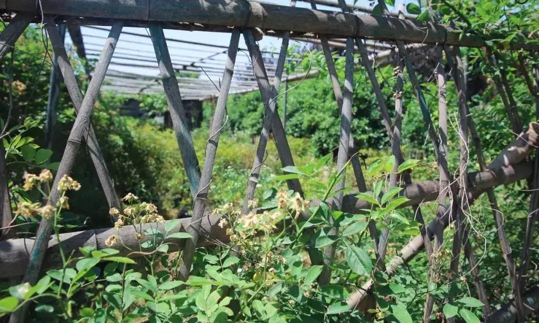 苏州大学文正学院专转本2020,苏州大学文正学院专转本人力资源