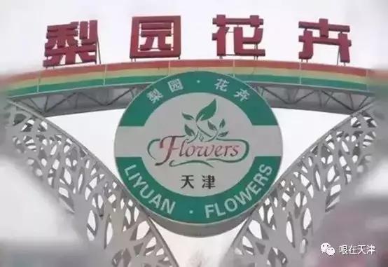 天津哏儿都的好去处,天津哏儿都