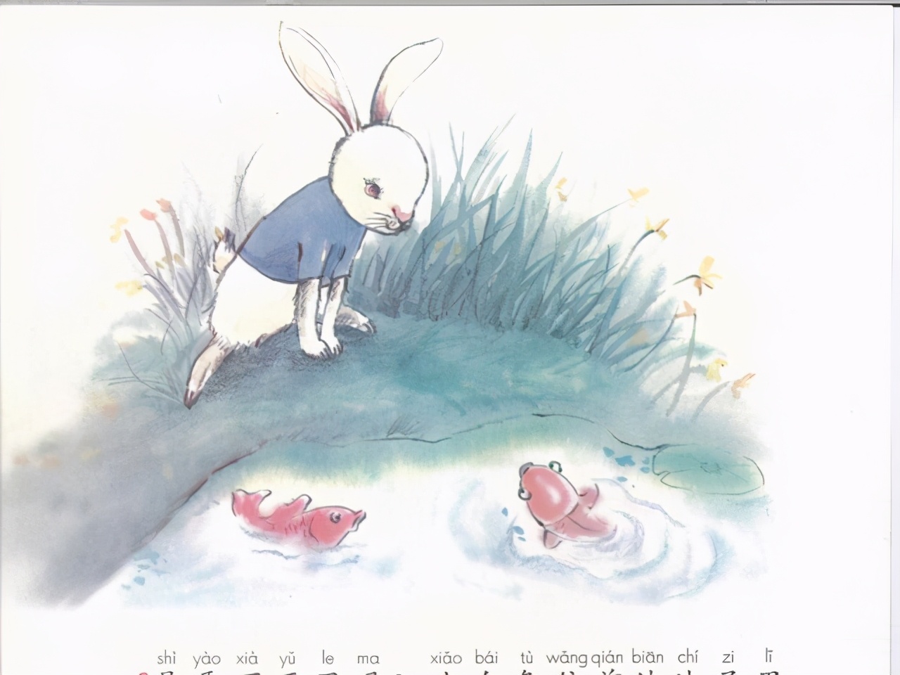 一年级标点符号感叹号讲解和用法,一年级句号问号感叹号怎样加