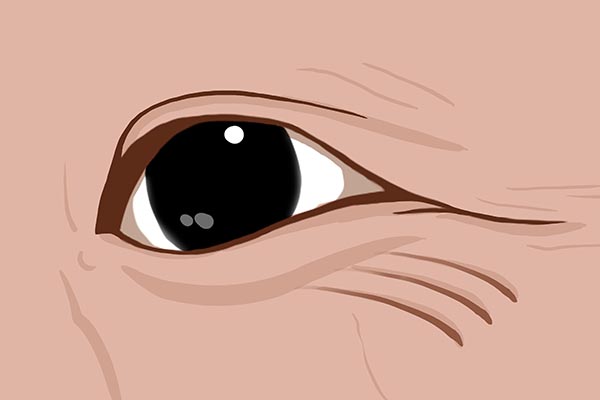 当代年轻人戒糖有多难,当代年轻人戒糖