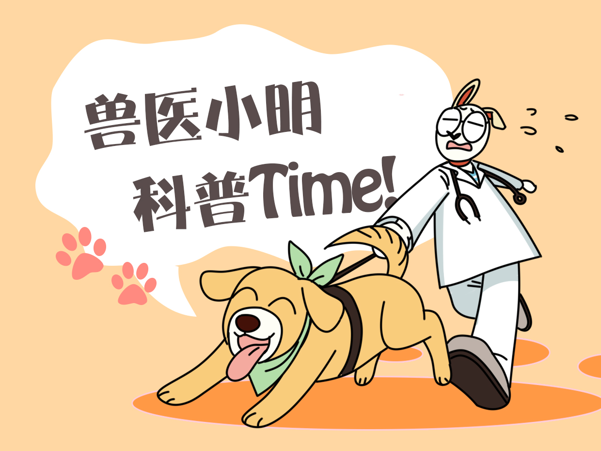 狗子半夜突然朝门外叫,半夜狗叫扰民不知道谁家狗怎么办