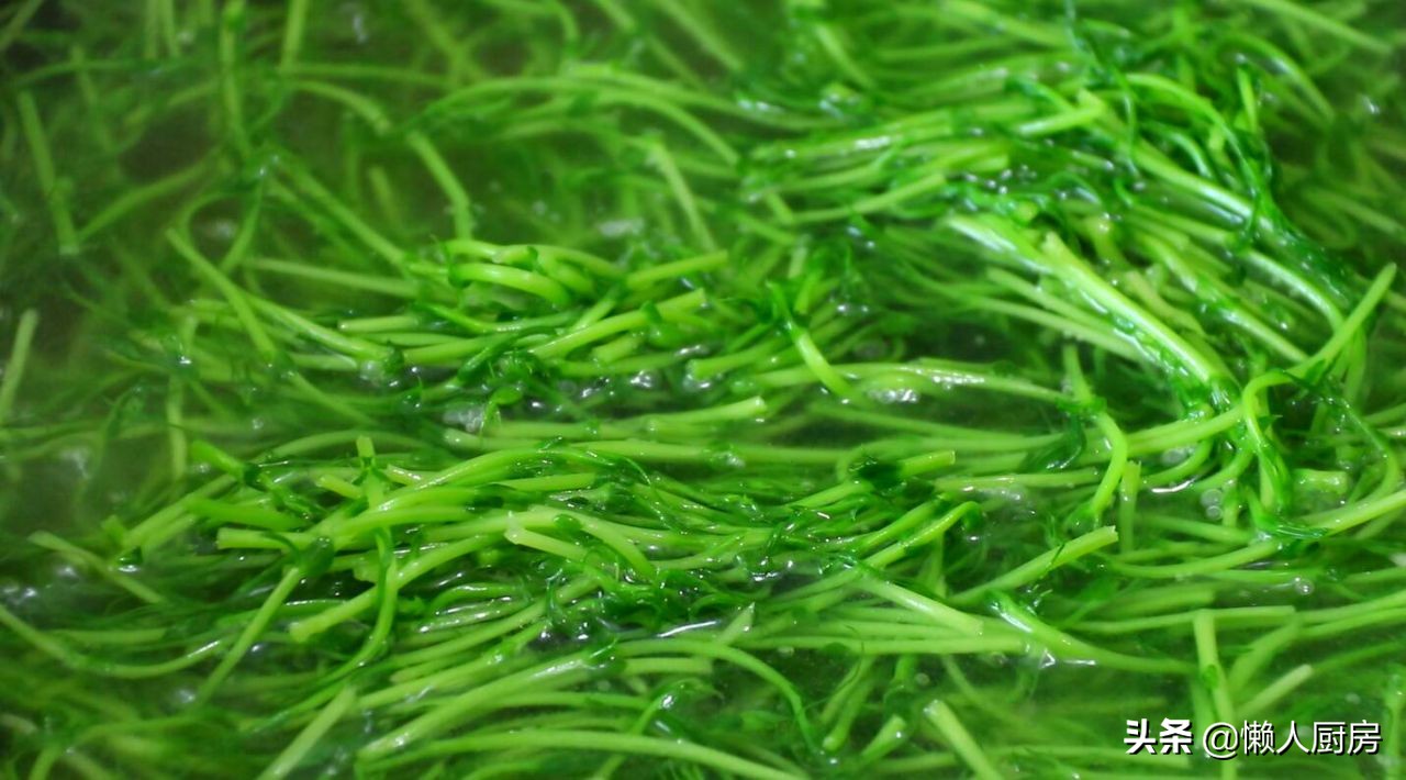 豌豆苗的家常做法怎么炒,刚买的豌豆怎么做好吃