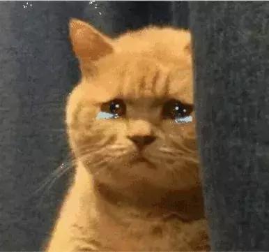 十大公认好用的水乳秋冬,秋冬怎样选水乳