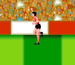 fc任天堂历代游戏机,fc任天堂经典游戏