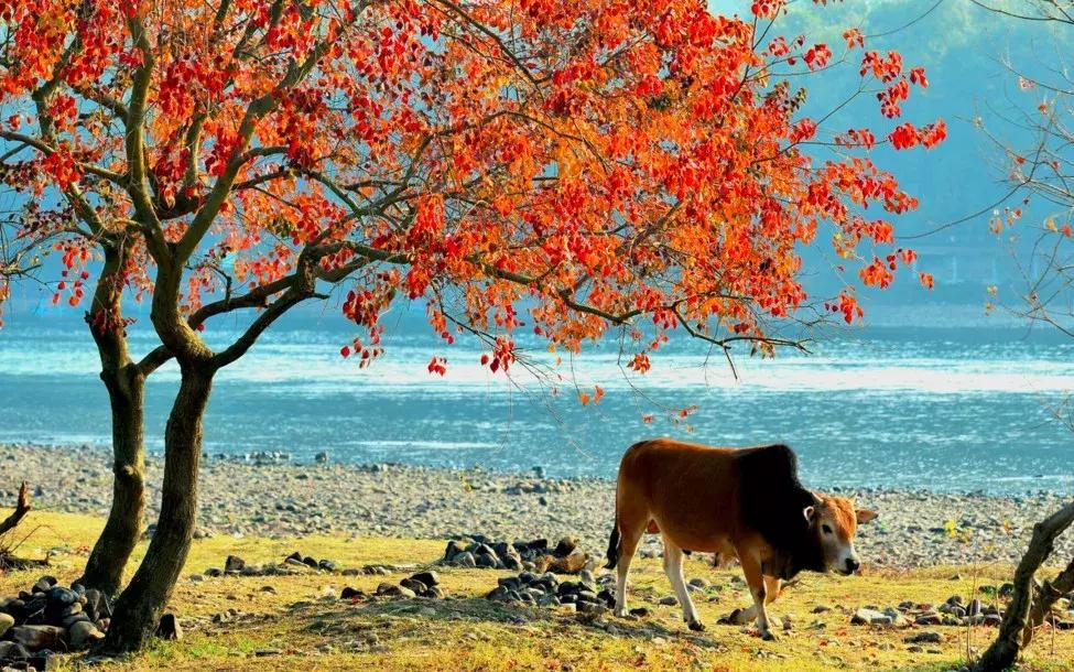 广西最想去的地方,广西最想去的8个地方