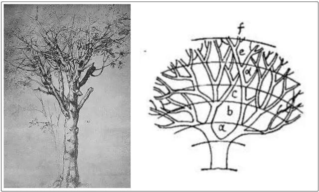 郎朗10亿身价,郎朗现在身价多少亿