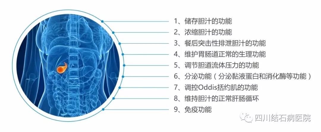 治胆结石是个小手术吗,胆结石是保胆好还是摘除好