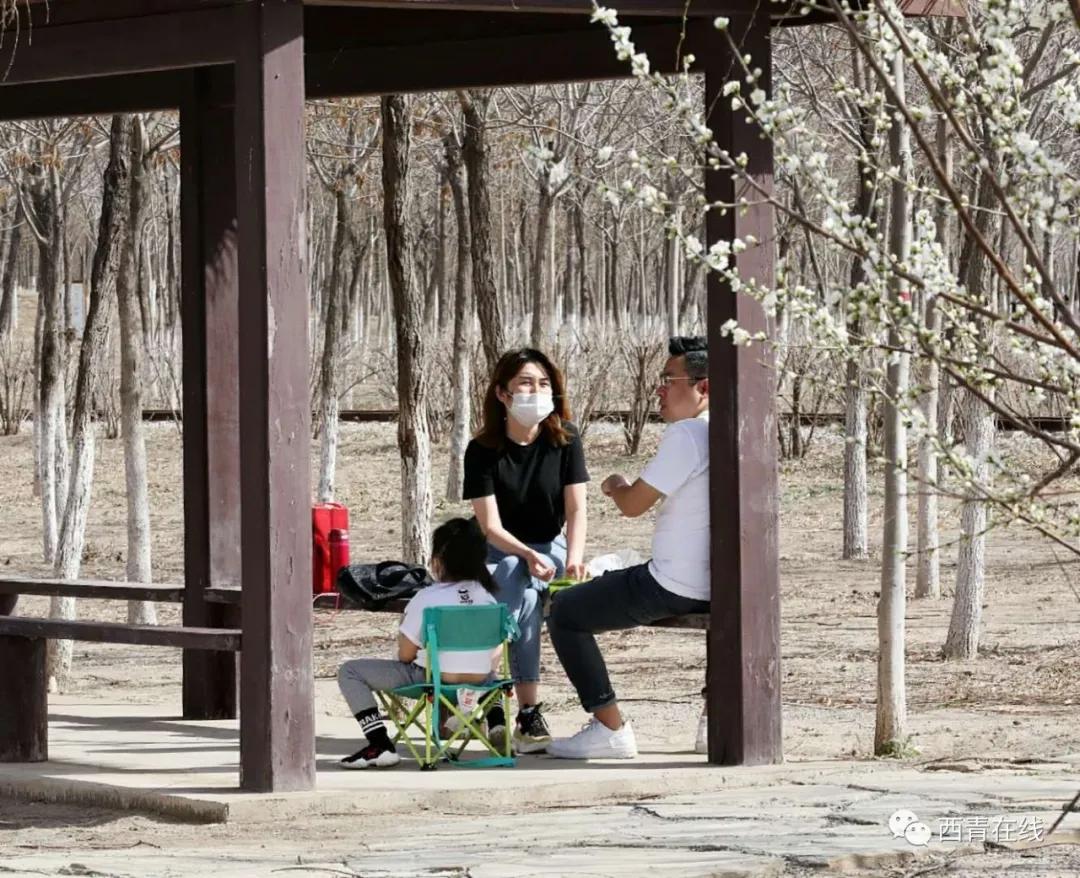 准备好了吗?亮码踏青,125座公园任你游!