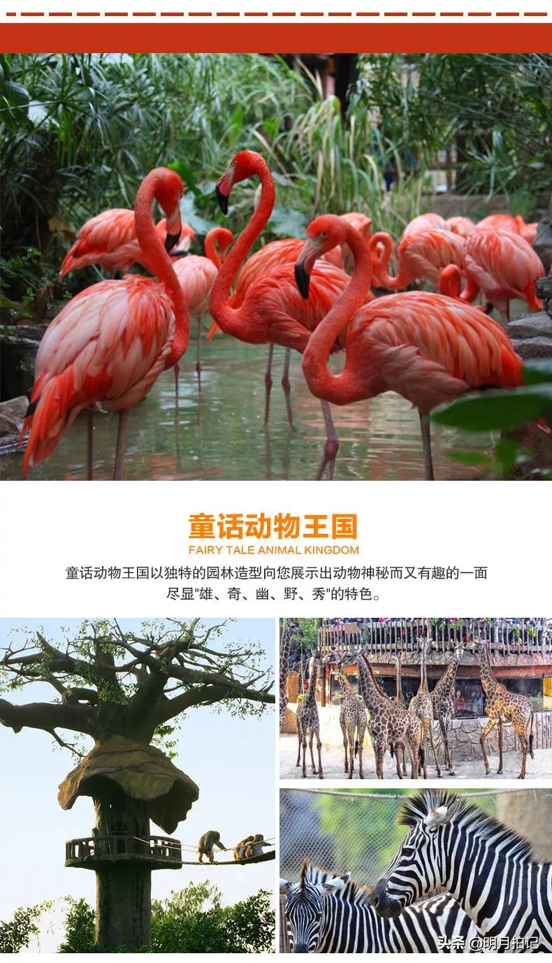 带着家人孩子来休博园，怎么样才能让大家玩得尽兴呢