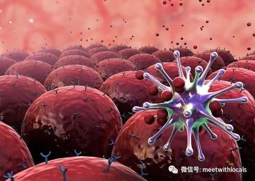 中世纪的欧洲为什么会爆发黑死病,二十世纪欧洲黑死病持续了多久