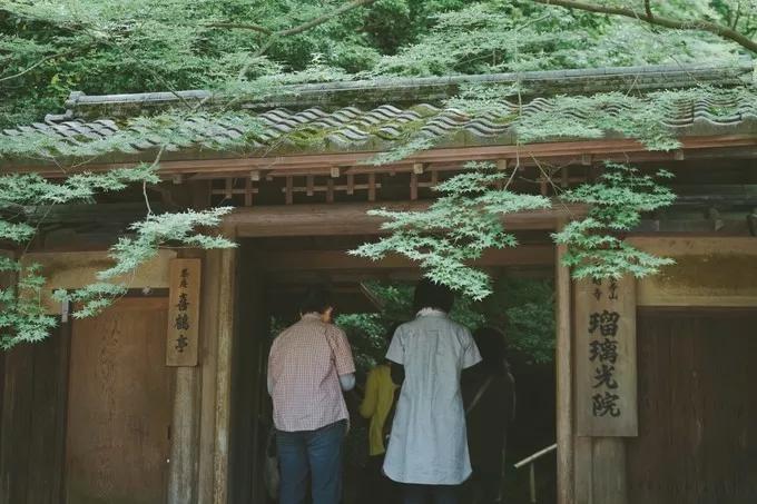 不一样的大阪三日游,瑠璃一束光,值得一来再来