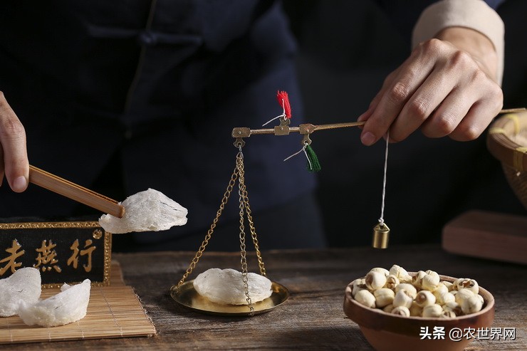 了不起的新农人|给金丝燕打造一个五星级的家,专访老燕行廖文烽