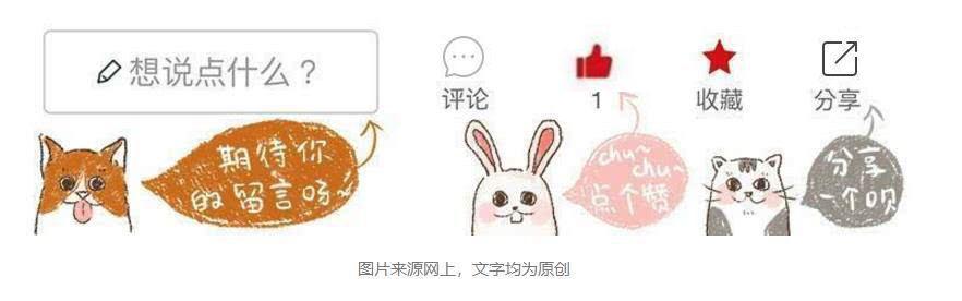 狗狗在消失一段时间又回来了,狗狗被人遗弃一年后长成怪物