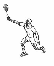 羽毛球动作大全图片,羽毛球十二个基本动作初学者