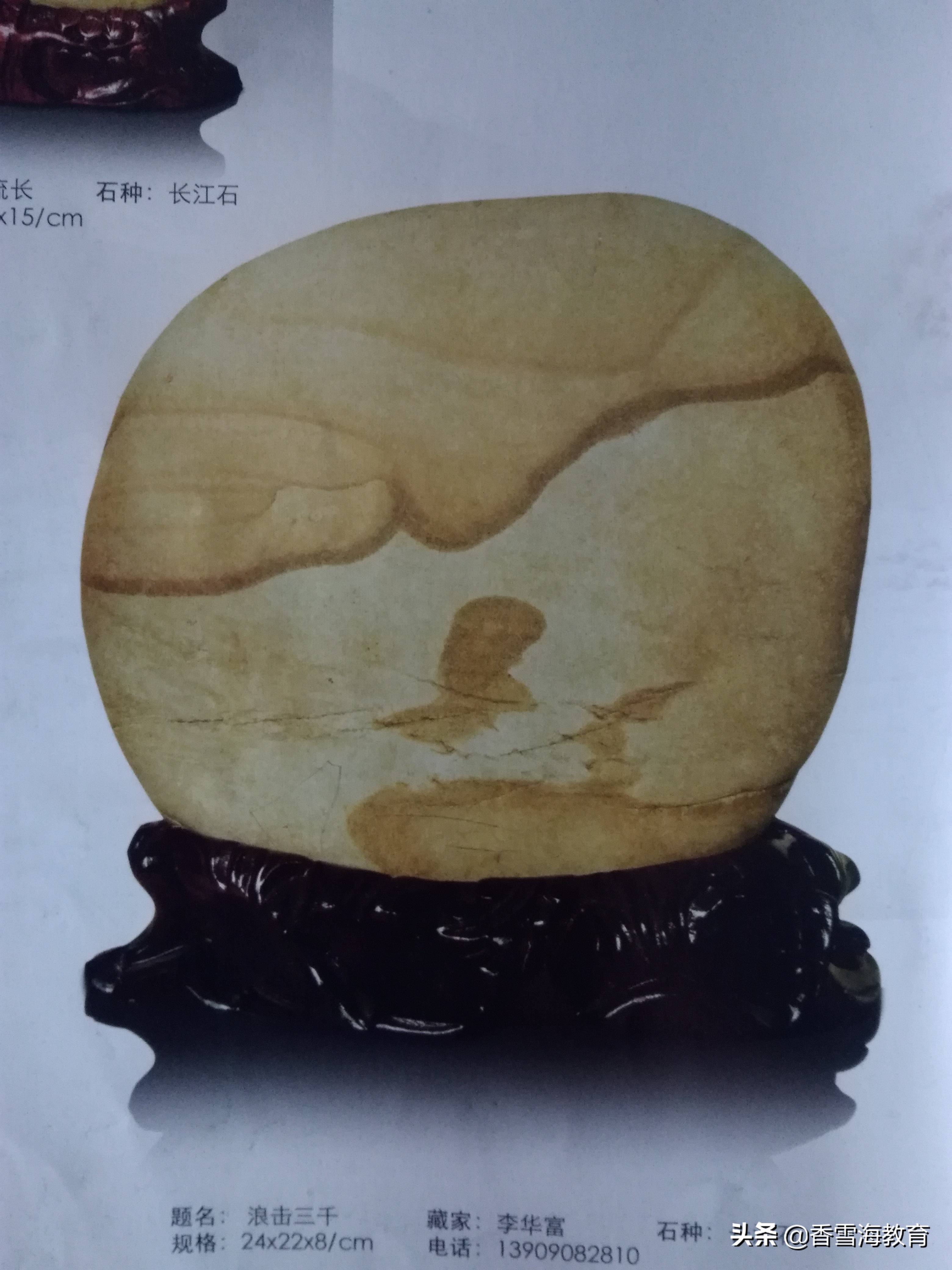 苍溪中学2019年的中考题,苍溪中考二诊试卷