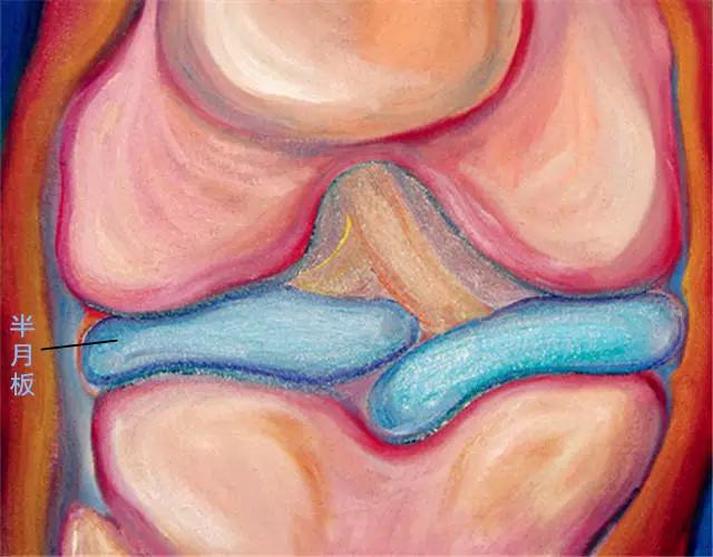 打球为什么会引起膝盖关节痛,常打篮球膝盖疼痛部位对照表