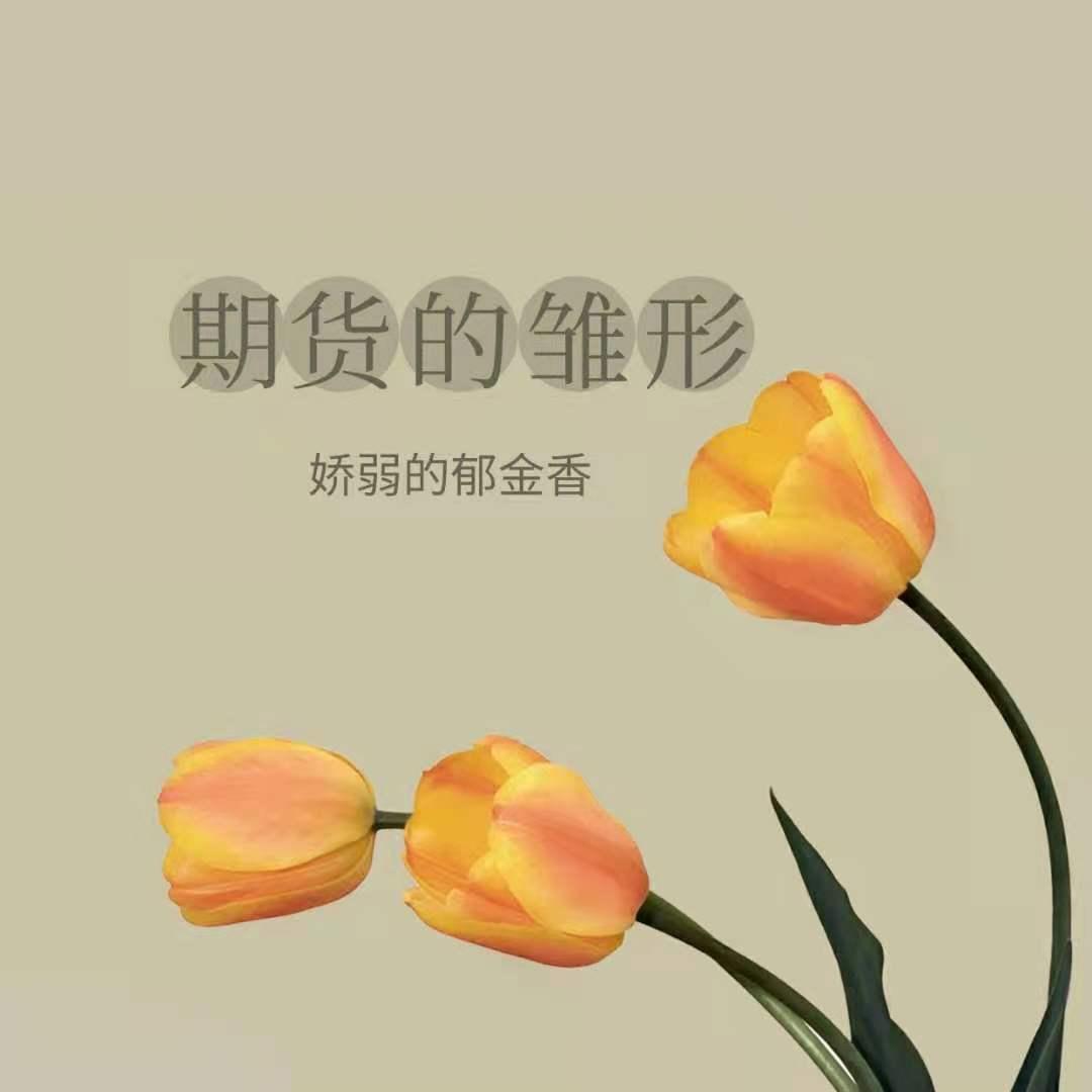 期货小白课,期货小白学习的书籍