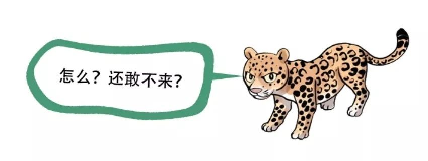 嘉年华快报：杭城万名神兽出动，破解七大自然悬案