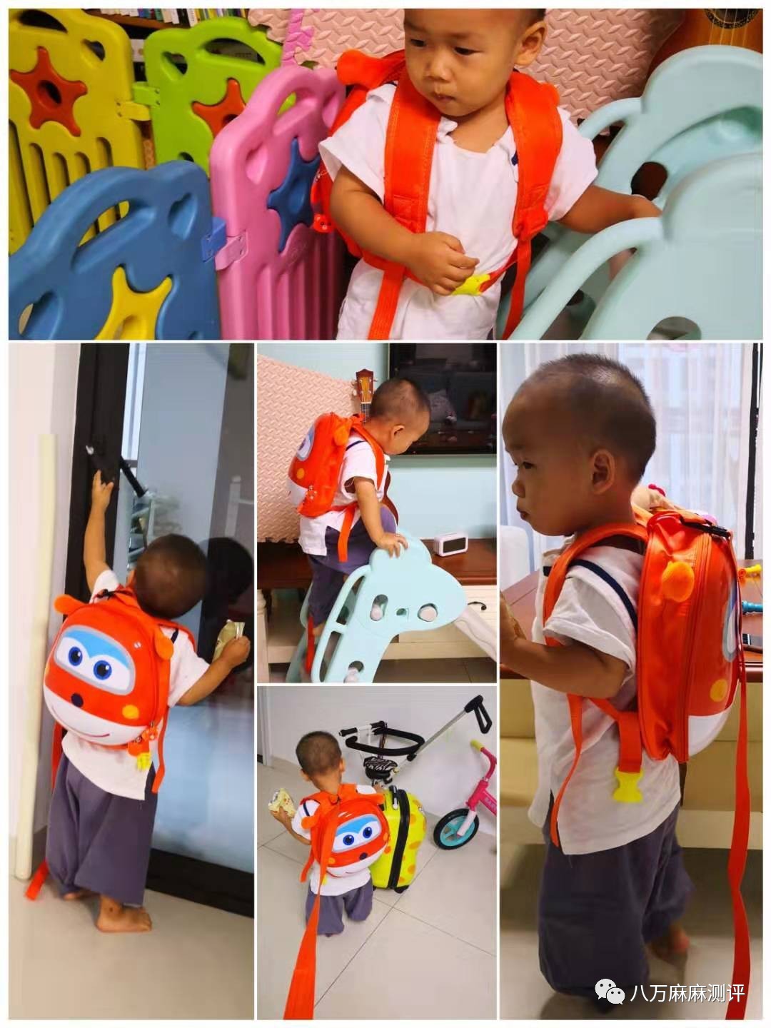 小书包测评专题|这里是防走失包的大草原（上）