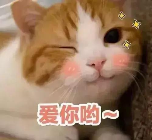 北京海淀区新建的公园,海淀新开放公园