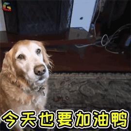 “捡尸体”也算公务员了?看完这些职业,我写好了辞职信