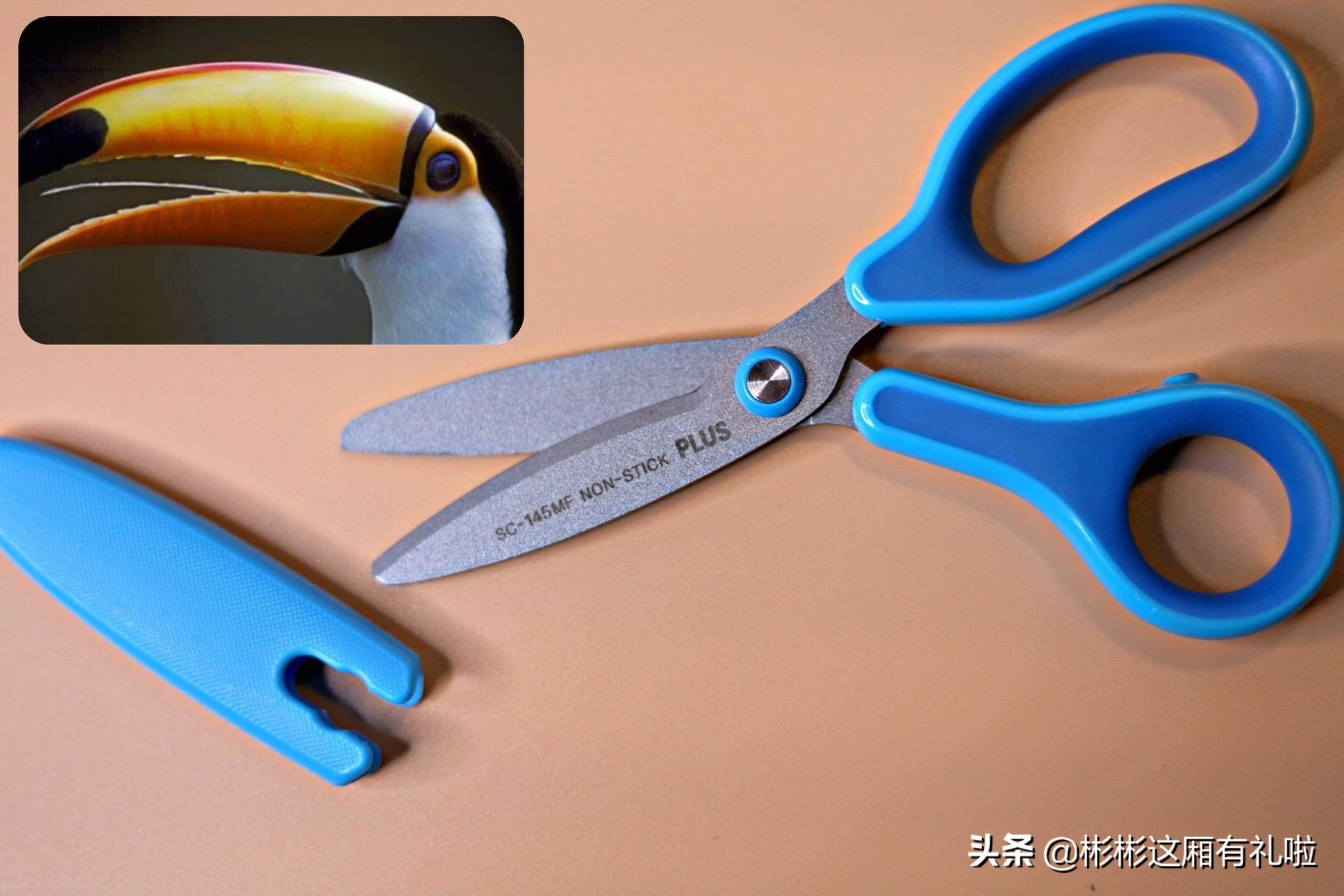 高颜值文具又便宜,平价好用高颜值文具推荐