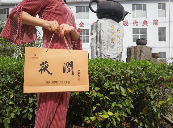 湘益茯茶哪个系列值得买,2012年湘益精品茯茶价格多少